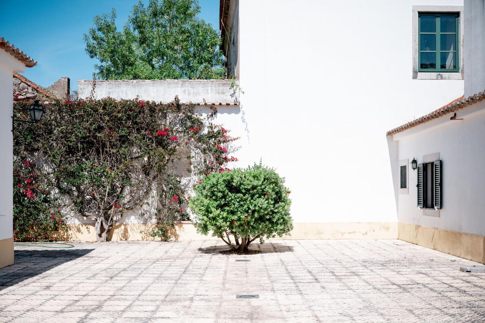 Casa De Calhariz Villa Sesimbra Dış mekan fotoğraf